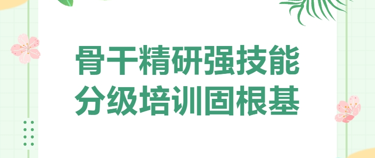 骨干精研強(qiáng)技能 分級培訓(xùn)固根基